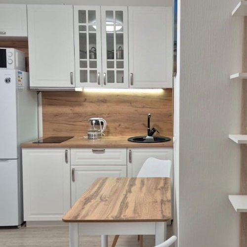 Студия пос. Шушары, проспект Старорусский, 5к1