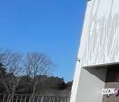 Продать Квартиры вторичка Голландский квартал мкр, Ивантеевка  6 