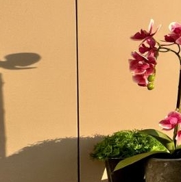 Продажа 1-комн квартиры на вторичном рынке Осенняя улица, 14 Продажа 1-комн квартиры на вторичном рынке Осенняя улица, 14