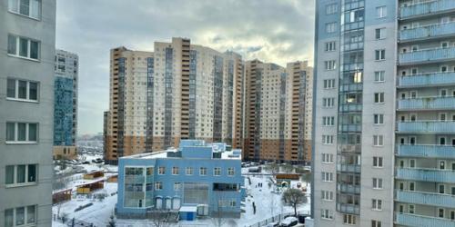 1-комн квартира Шуваловский пр-кт,  д. 90,  к. 1