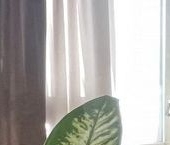 Продать Квартиры вторичка проспект Художников, 24К3   