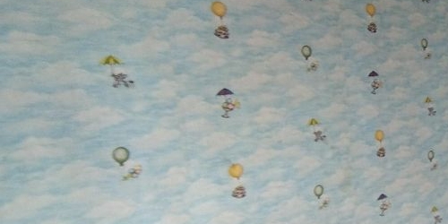 2-комн квартира Пушкин, Церковная улица, 46