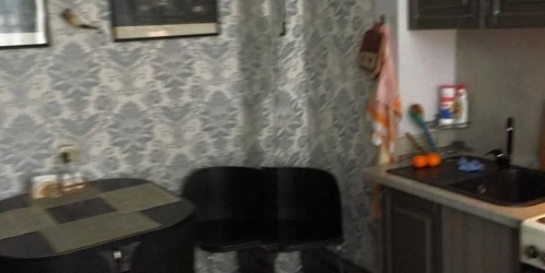 1-комн квартира Всеволожск г., Центральная ул. ,  д. 6