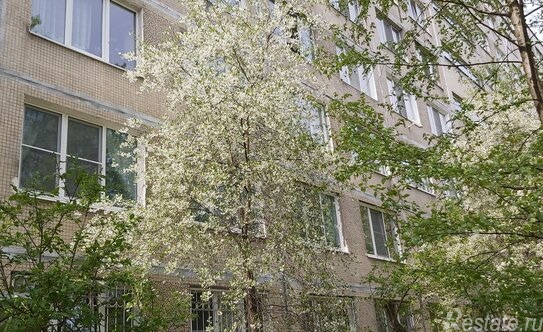 Продажа 4-комн квартиры на вторичном рынке Бухарестская ул,  д. 86,  к. 1