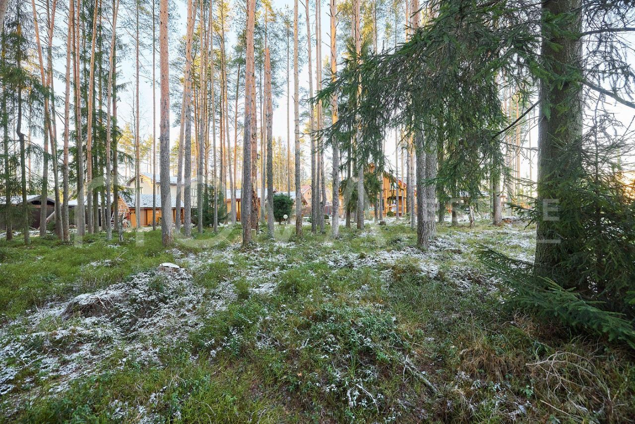 Продажа земли Охтинский парк кп, д. Энколово, улица Еловая