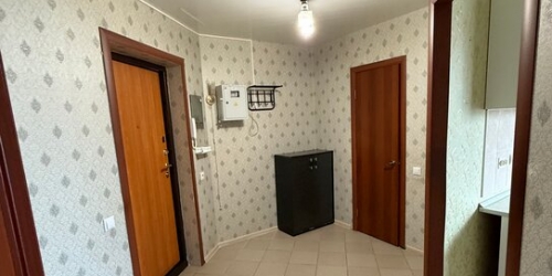 1-комн квартира Приморское шоссе,  д. 293