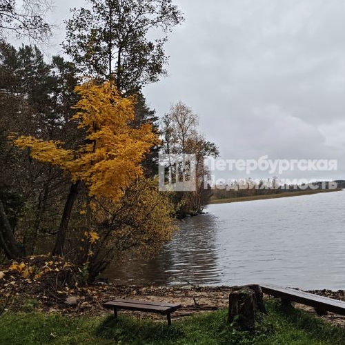 Земельный участок пос. Ларионово, улица Заречная