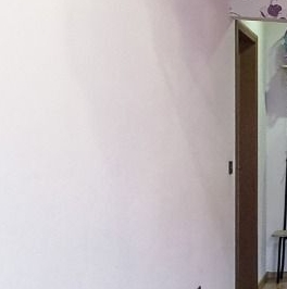 Продажа 3-комн квартиры на вторичном рынке пос. Шушары, Ленсоветовский тер., 25 Продажа 3-комн квартиры на вторичном рынке пос. Шушары, Ленсоветовский тер., 25