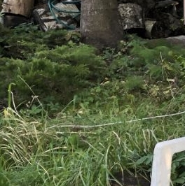 Продажа дома Новая Ропша садоводческий массив, улица 18-я Западная