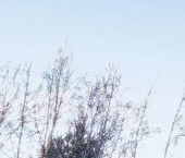 Продать Дачи, коттеджи, загородные дома пос. Бронна, улица Баренцевская   