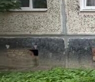 Продажа квартиры на вторичке пос. Сельцо, 7