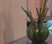 Сдать в аренду Квартиры вторичка улица Рылеева, 23   