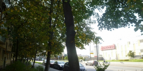 2-комн квартира Кожуховская 7-я ул,  д. 16