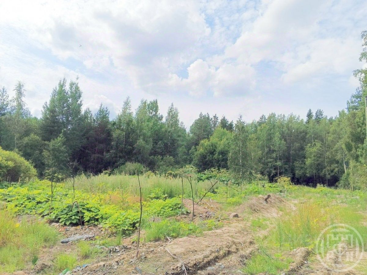 Продажа земли пос. Красносельское, улица Сосновая