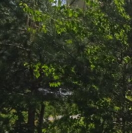 Продажа 2-комн квартиры на вторичном рынке Электросталь, проспект Ленина, 35а