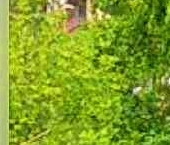 Продать Квартиры вторичка улица Юных Ленинцев, 3   