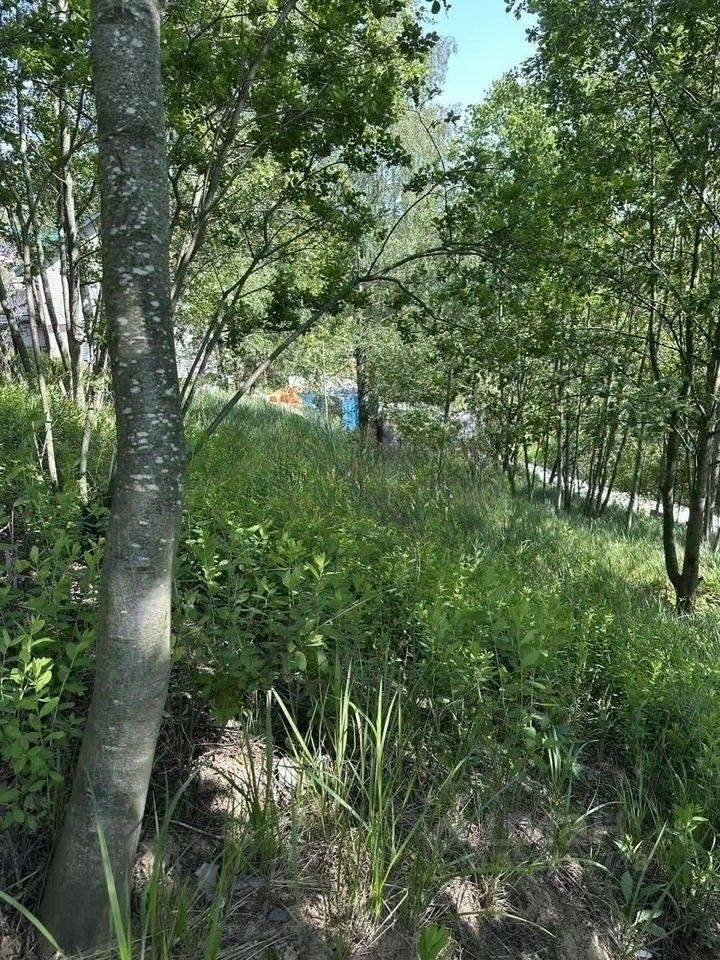 Продажа земли д. Юкки, аллея Еловая, 48А