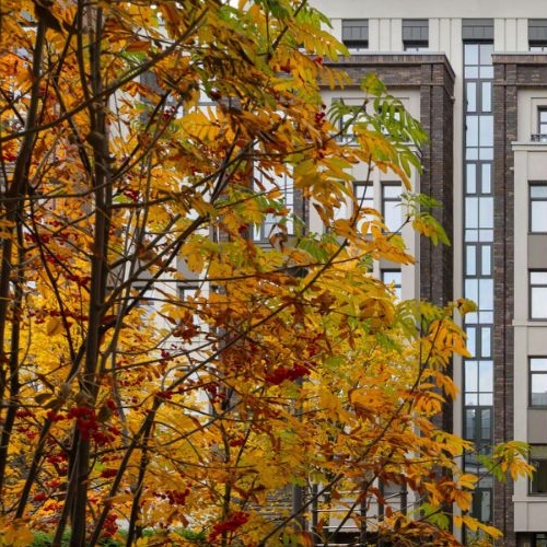 2-комн квартира 12-я Красноармейская улица, 26