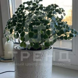 Продажа 2-комн квартиры на вторичном рынке Пулковская ул,  д. 9,  к. 1