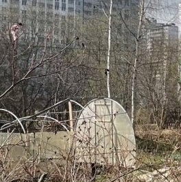 Продажа земли дорога В Рыбацкое, 8 Продажа земли дорога В Рыбацкое, 8