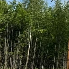 Продажа дома Земляничные поляны кп, д. Кукушкино, д. 37 Продажа дома Земляничные поляны кп, д. Кукушкино, д. 37