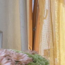 Продажа 4-комн квартиры на вторичном рынке Барыковский переулок, 10 Продажа 4-комн квартиры на вторичном рынке Барыковский переулок, 10