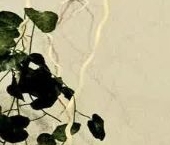 Продать Квартиры вторичка пос. Шушары, проспект Новгородский, 4   