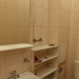 Аренда 1-комн квартиры на вторичном рынке улица Писарева,  д. 10