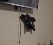 Продать Квартиры вторичка Пулковская улица, 1к2   