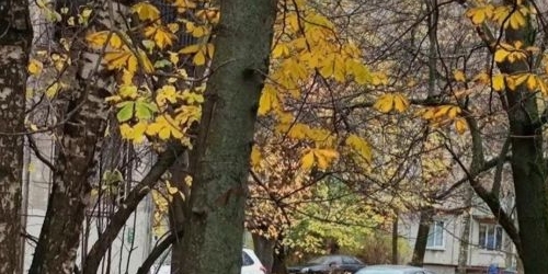 1-комн квартира улица Маршала Тухачевского, 33