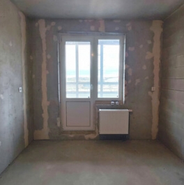 Продажа 1-комн квартиры на вторичном рынке Новоселье, ул Петропавловская,  д. 13