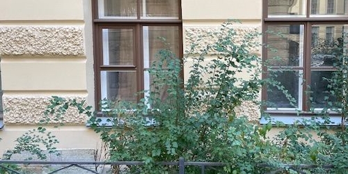 Комната улица Рубинштейна, 36