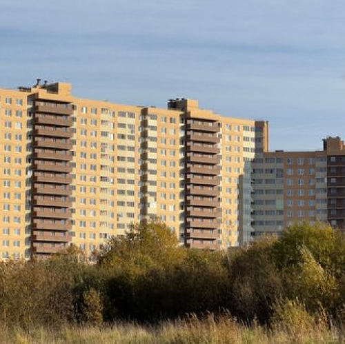1-комн квартира Бугровское городское поселение, Тихая улица,  д. 17