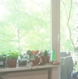 Продажа 2-комн квартиры на вторичном рынке улица Стойкости, 19К3 Продажа 2-комн квартиры на вторичном рынке улица Стойкости, 19К3