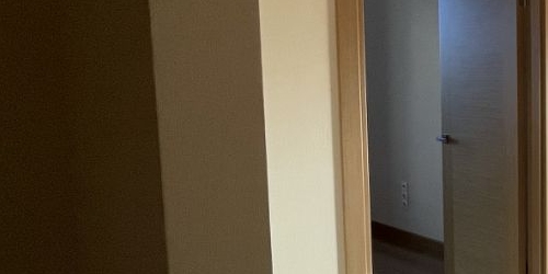 2-комн квартира Приморский проспект, 54к2