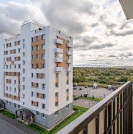 Продажа 1-комн квартиры на вторичном рынке Московское ш,  д. 256 к8 с1