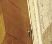 Продать Квартиры вторичка Беловежская улица, 21   