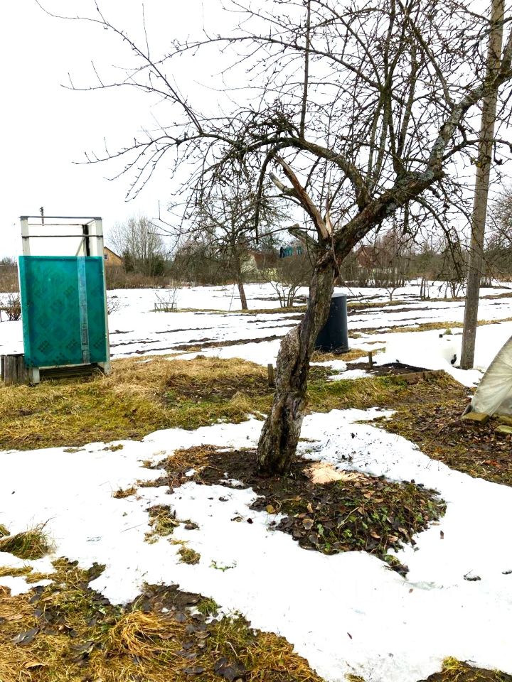 Продажа дома д. Брюмбель, 1