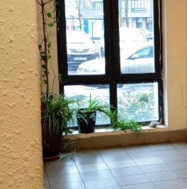 Продажа 2-комн квартиры на вторичном рынке Бескудниковский бульвар, 5