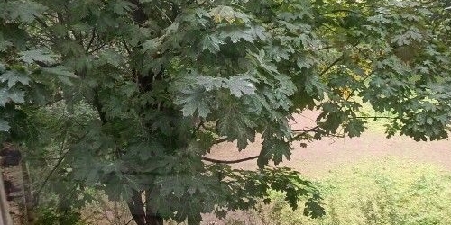 1-комн квартира Камышовая улица, 52к1