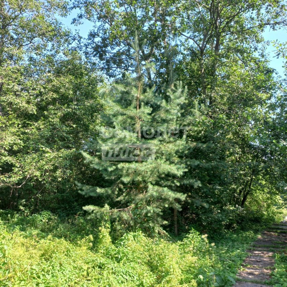 Продажа земли д. Сиголово, проезд Архитектурный