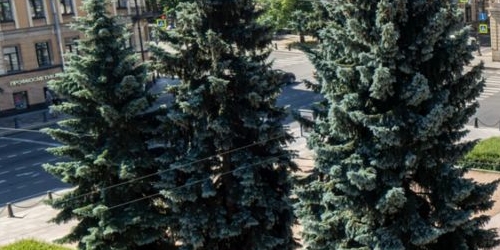 2-комн квартира проспект Большой Петроградской стороны, 38-40