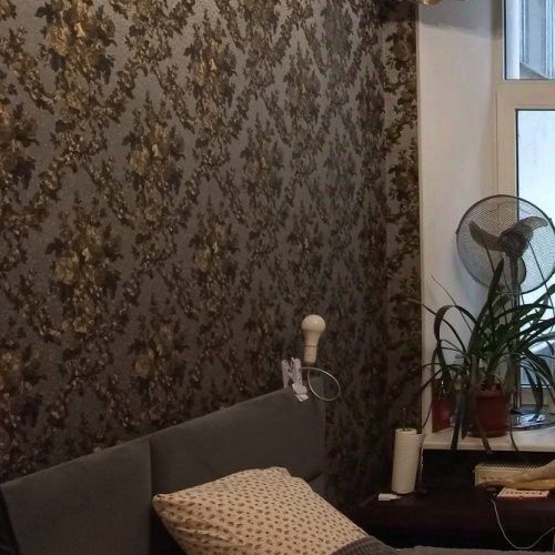 5-комн квартира проспект Большой Петроградской стороны, 19