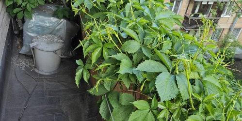 3-комн квартира Стачек проспект,  д. 122,  к. лит А