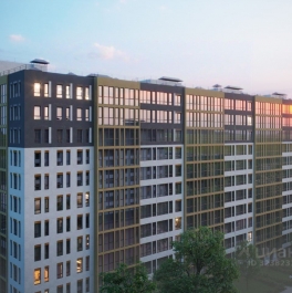 Продажа 2-комн квартиры в новостройке Шушары п,  д. 3 к2