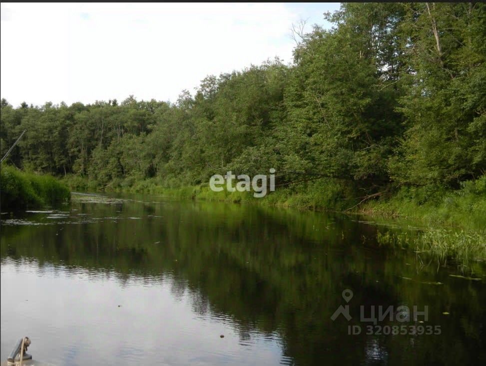 Продажа земли д. Подгородье, улица Новгородская