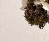 Продать Квартиры вторичка Опалиха мкр, проезд Островского, 7   