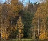 Продать Земельные участки, земля пос. При железнодорожной станции Громово, улица Снежная   