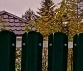 Продать Дачи, коттеджи, загородные дома Мшинская садоводческий массив, Равенство СНТ, улица Сиреневая  19 