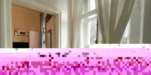 1-комн квартира Аптекарский пр-кт,  д. 8а